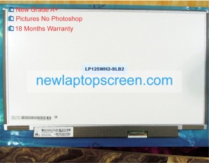 Lenovo k29 inch laptop scherm