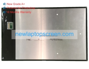 Innolux p101kda-ap1 10.1 inch laptop schermo