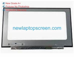 Boe boe0844 17.3 inch laptop schermo