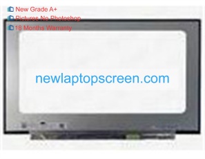 Boe nv173fhm-ny1 17.3 inch laptop scherm