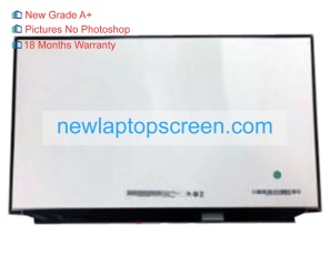 Auo b173zan03.1 17.3 inch laptop scherm