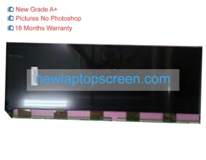 Boe dv286fbb-nv0 29 inch laptop screens