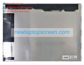 Sharp lq170e1lw22 17 inch laptop scherm