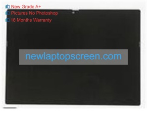 Innolux n123nca-gs1 12.3 inch ordinateur portable Écrans